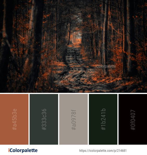 an image of a path in the woods at night with color palettes on it