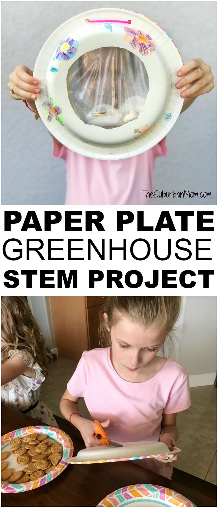 Paper Plate Greenhouse Kids STEM Project - The Suburban Mom Seed Lessons For Kids, Steam Projects Elementary, Oshc Activities, Crafting Closet, Steam Activities Elementary, Seed Science, Ag Projects, Sustainability Activities, Elementary Stem Activities