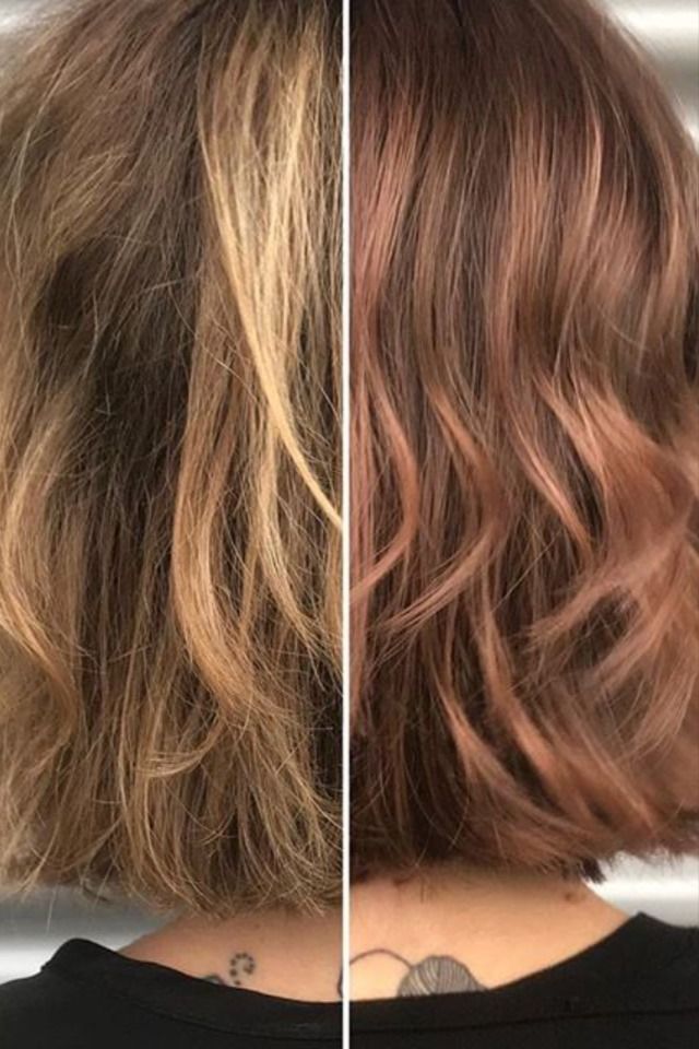 No Upkeep Hair Color, Single Color Process Hair, Single Color Hair Dye, Easy To Manage Hair Color, Easiest Hair Color To Maintain, Single Color Hair Brown, Honey Bronze Hair, Single Color Brunette Hair, Single Process Brown Hair