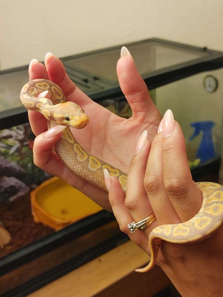 a woman holding a baby snake in her hand and looking at it's reflection