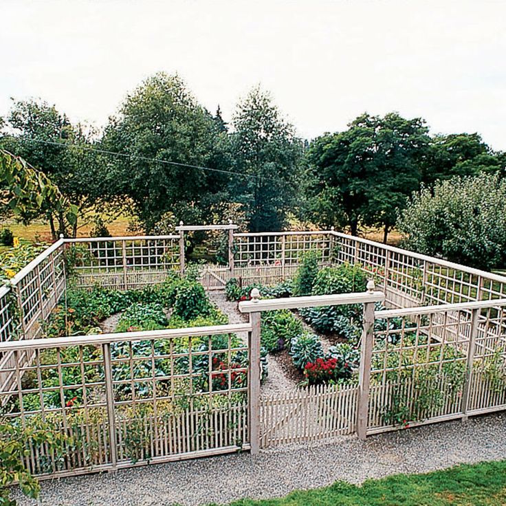 an outdoor garden with lots of plants and fenced in area