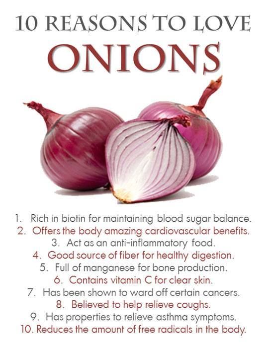 Onion Benefits, Onion Benefits Health, Herbal Benefits, Food School, Food Knowledge, Food Benefits, Egg Quality, Vegetable Benefits, Healthy Facts