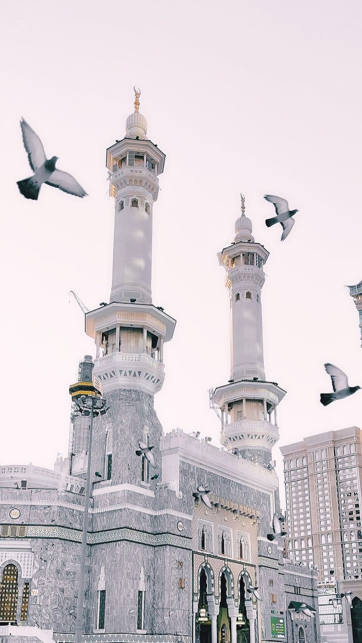 several birds flying in front of a building with two towers and three minarets