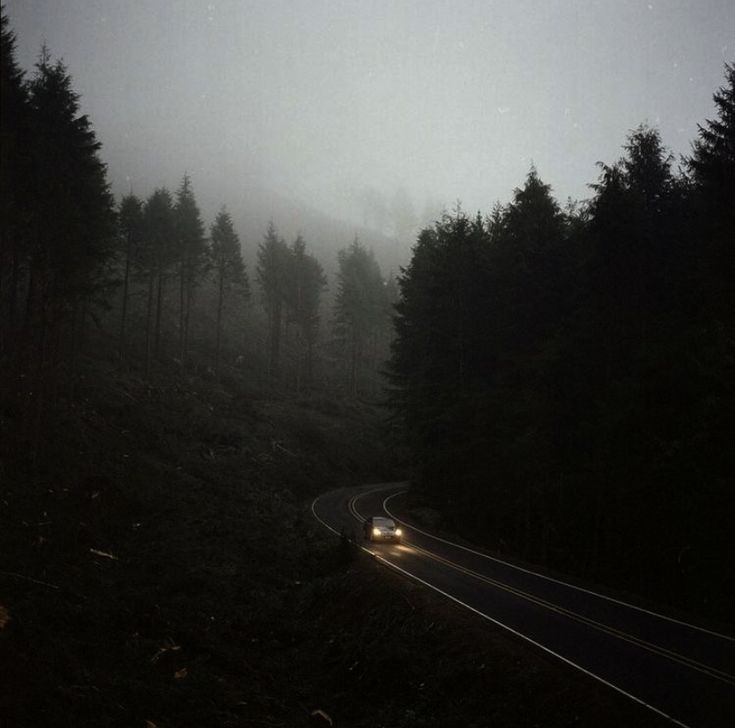 the car is driving down the road in the foggy forest on a rainy day