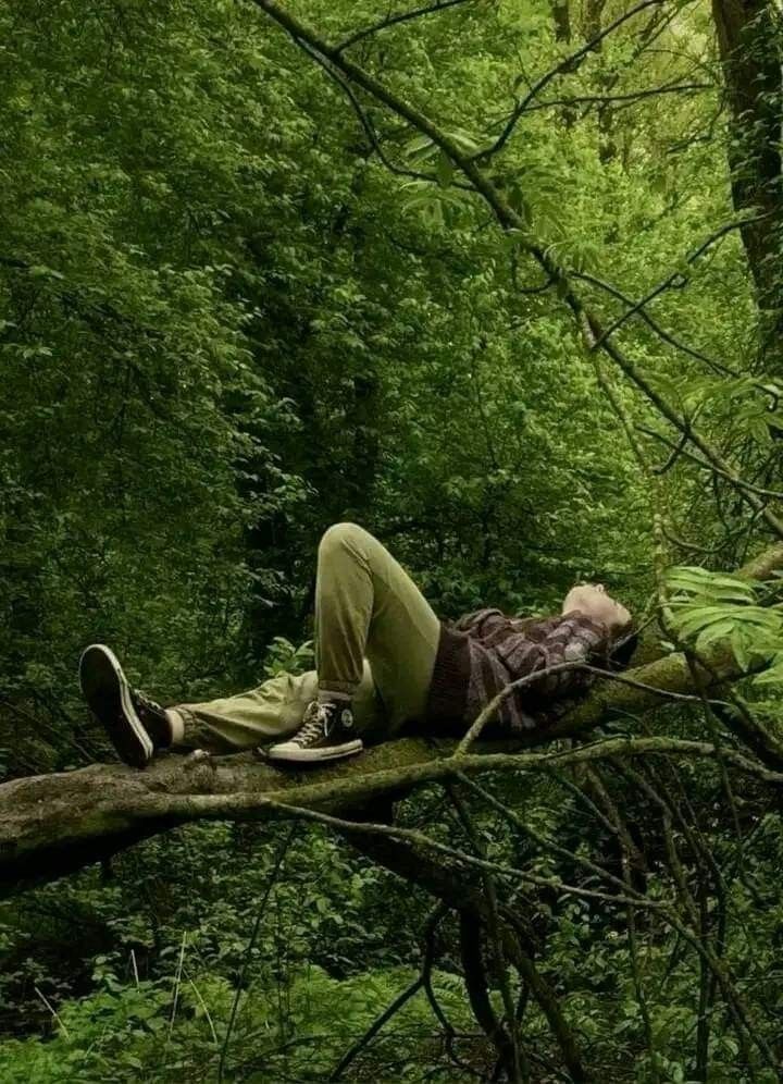 a man laying on top of a fallen tree in the forest next to green plants