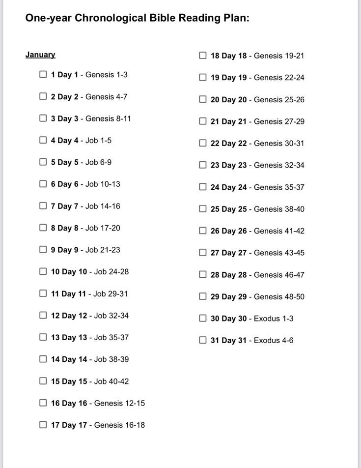 a printable one year chronological bible reading plan