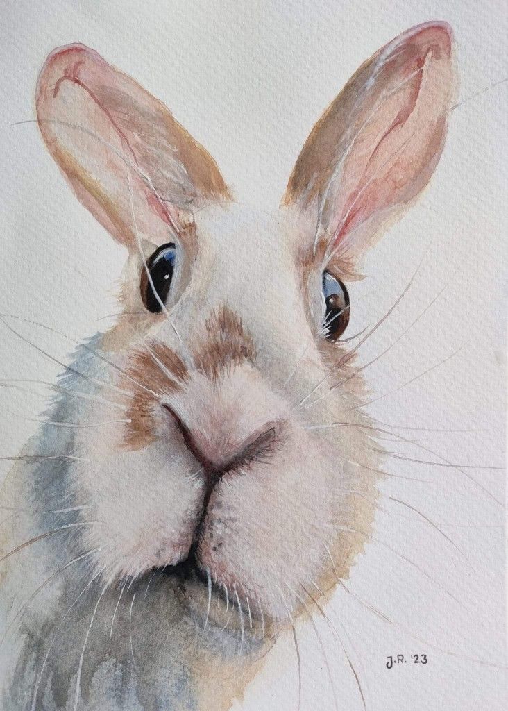 a watercolor painting of a rabbit's face