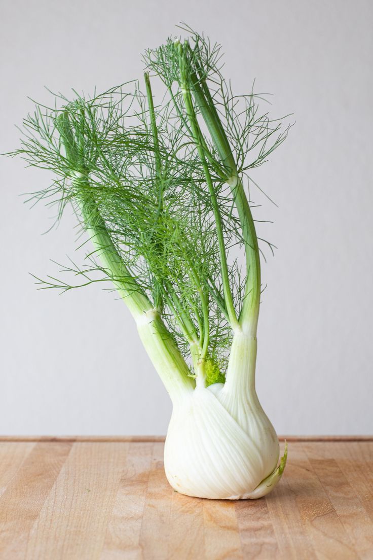 a fennel on a wooden table with some green stems sticking out of the top