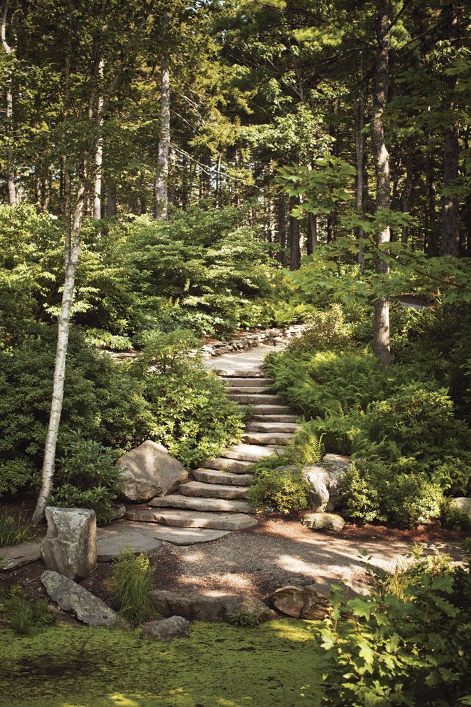 a stone path surrounded by trees in the woods