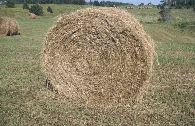 a large round hay bale sitting on top of a lush green grass covered field