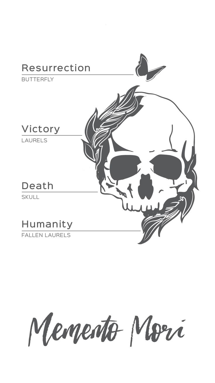 the anatomy of a human skull with labels on each side and an image of a man's face