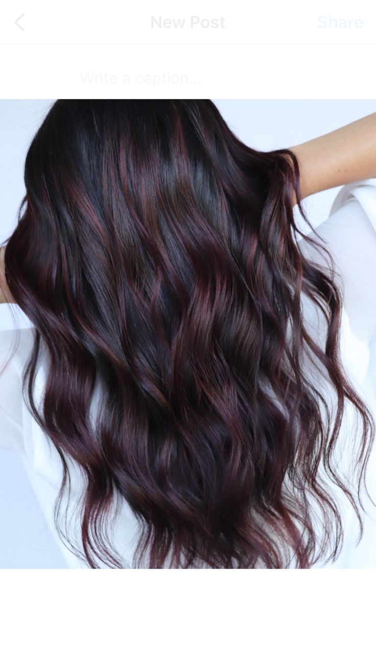 Dark Hair Color Ideas For Winter Long, Dark Color Balayage Hair, Dark Hair Burgundy Balayage, Dark Hair Red Lowlights, Colors To Dye Dark Brown Hair Without Bleach, Dark Hair Fall 2023, Dark Brown With Burgundy Balayage, Plum Balayage On Black Hair, Dark Brown Burgundy Balayage