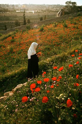 a woman standing in the middle of a field with red flowers on it's side