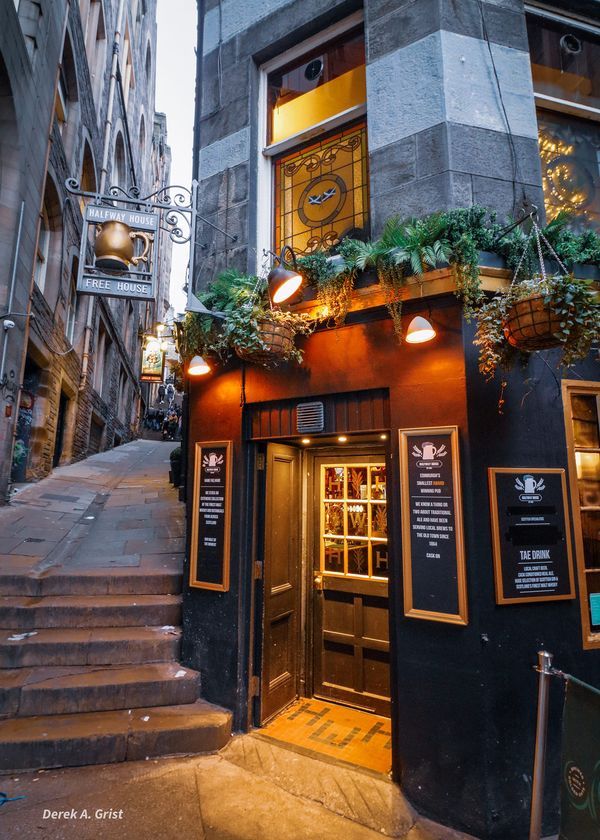 an entrance to a restaurant with plants growing on the windows and steps leading up to it