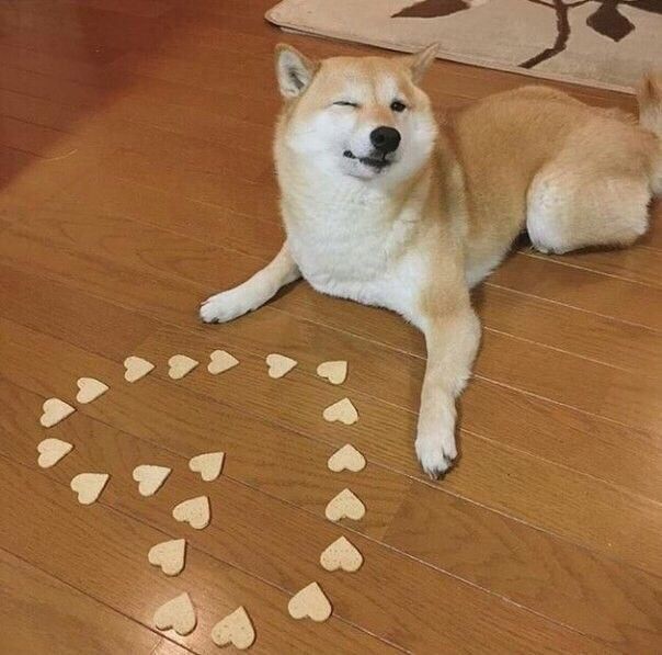 a dog is laying on the floor with hearts scattered around it and has his paw in the air as if to say, i have this wholesomee doggo