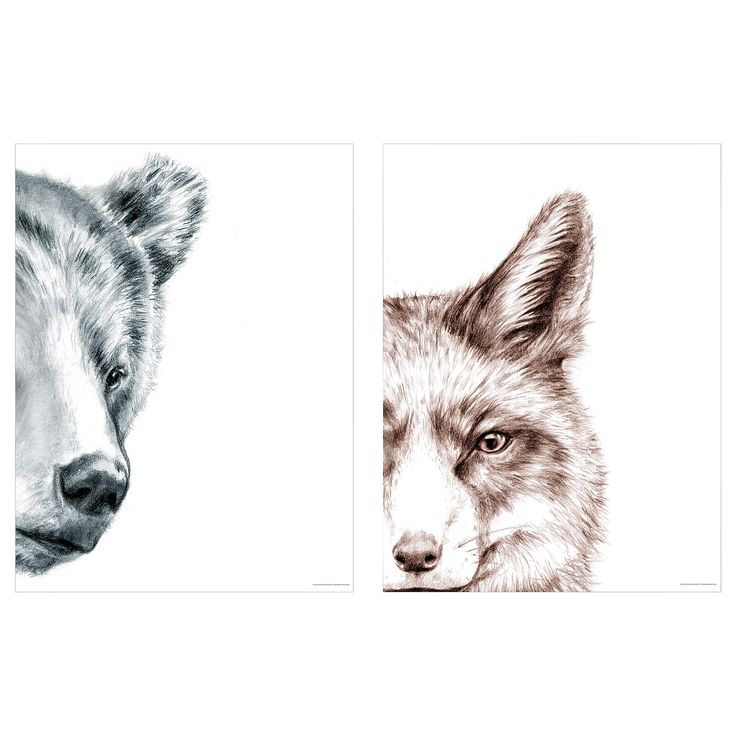 three different pictures of animals with one bear and the other wolf's head in black and white