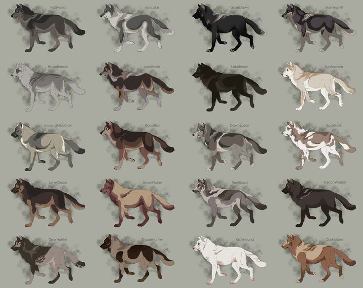 an image of many different colored wolfs on the same page as shown in this graphic