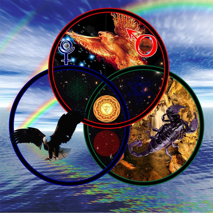 four circles with images of birds, animals and other things in the middle one is surrounded by rainbows