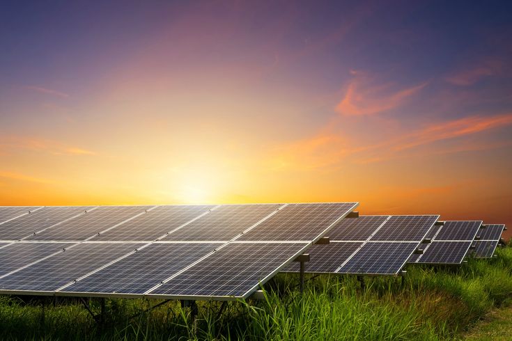 the sun is setting behind several solar panels in a field with green grass and weeds