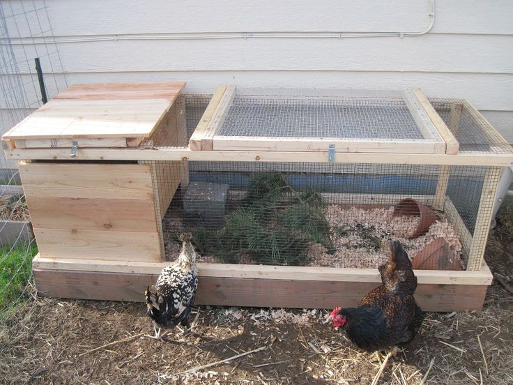 two chickens are standing in their coops on the ground next to a chicken house