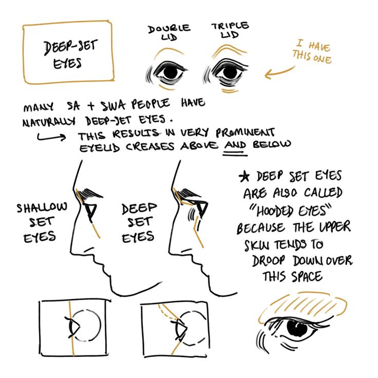 an image of how to draw the human face