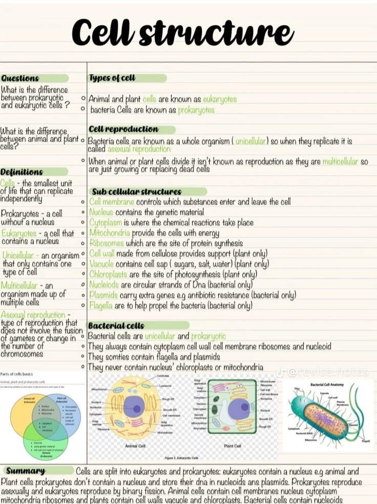 cell structure worksheet with diagrams and pictures for kids to use in science projects