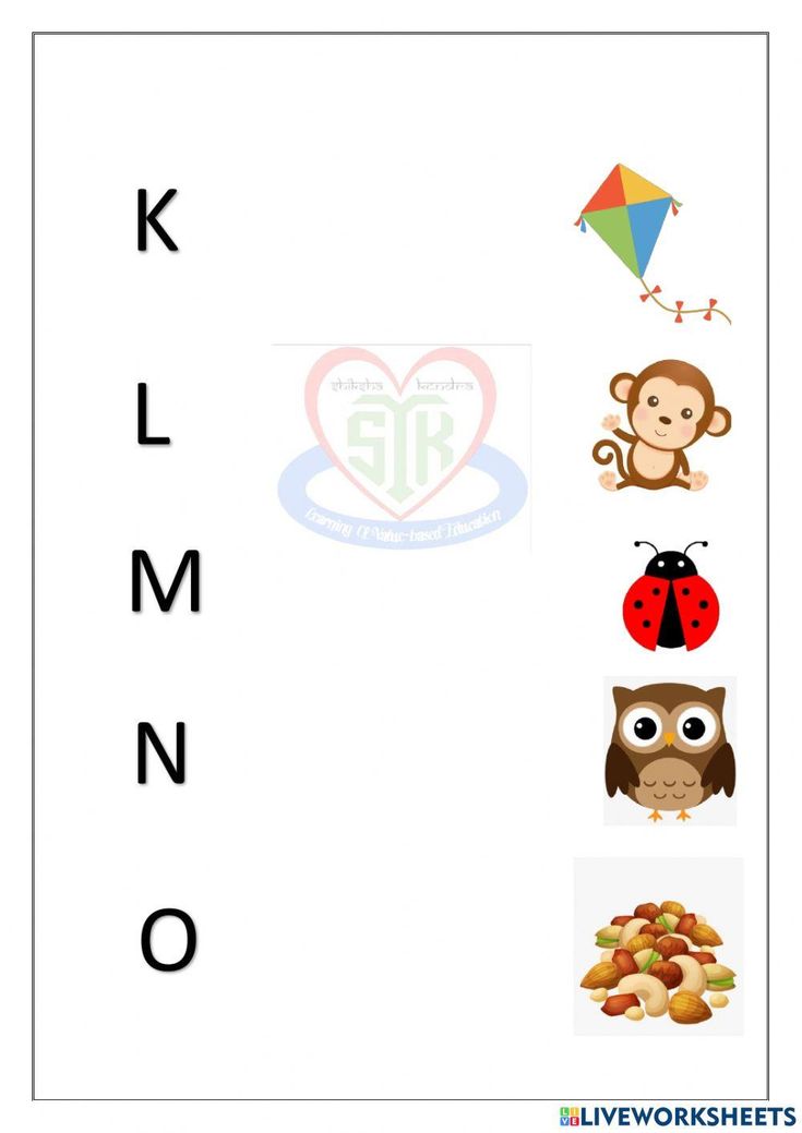 letter k worksheet with pictures of animals, birds and other things to learn