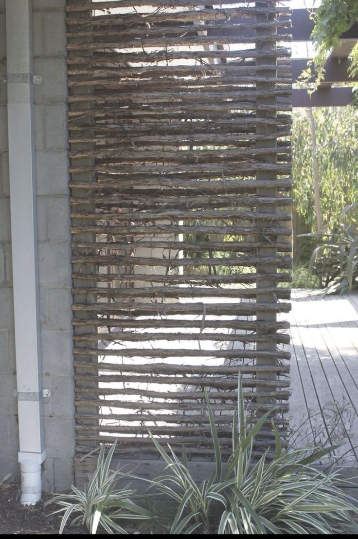 an outdoor area with a wooden fence and potted plants