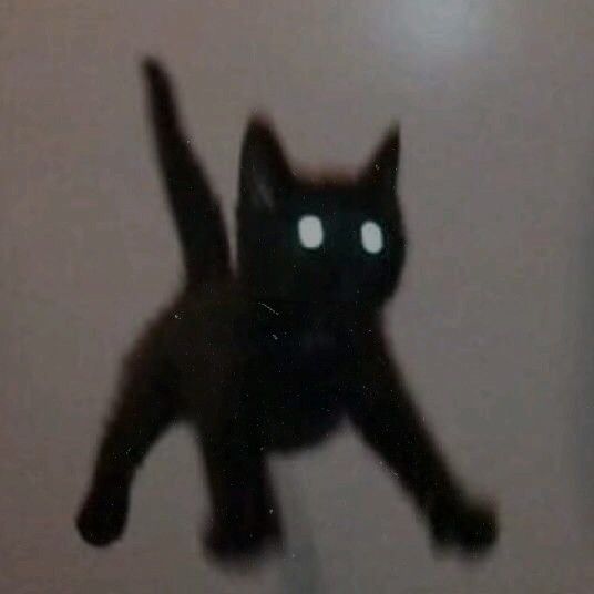 a blurry photo of a black cat with glowing eyes on it's back