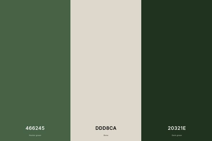 the same color scheme is shown in this image, and it appears to be dark green