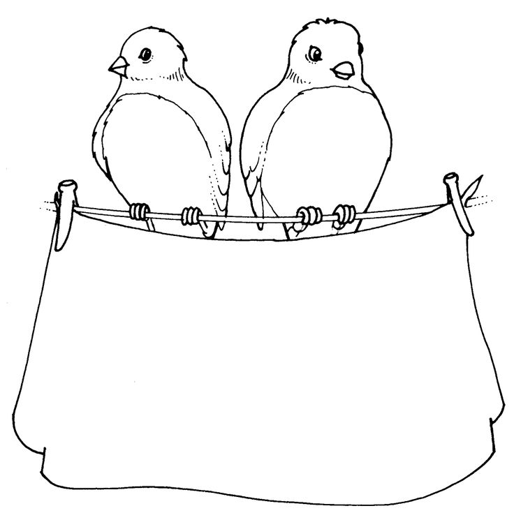 two birds sitting on top of a cloth