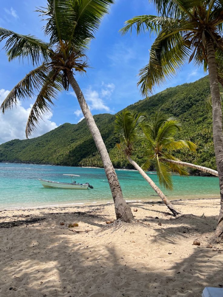 two palm trees on the beach with a boat in the water