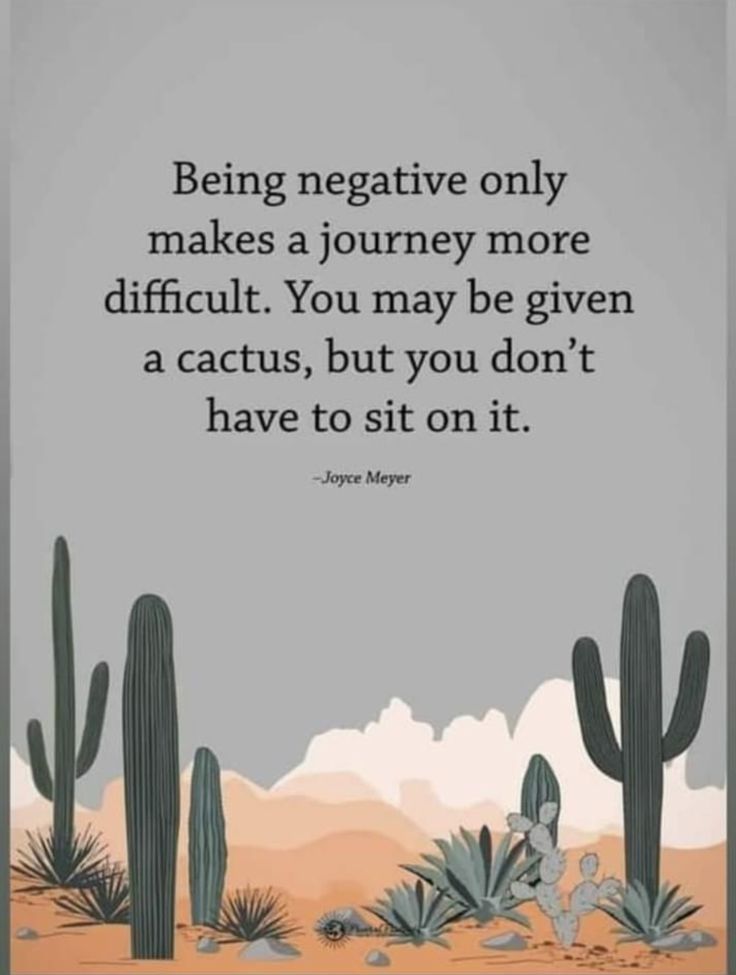 a cactus with a quote on it that says being negative only makes a journey more difficult you may be given a cactus, but you don't have to sit