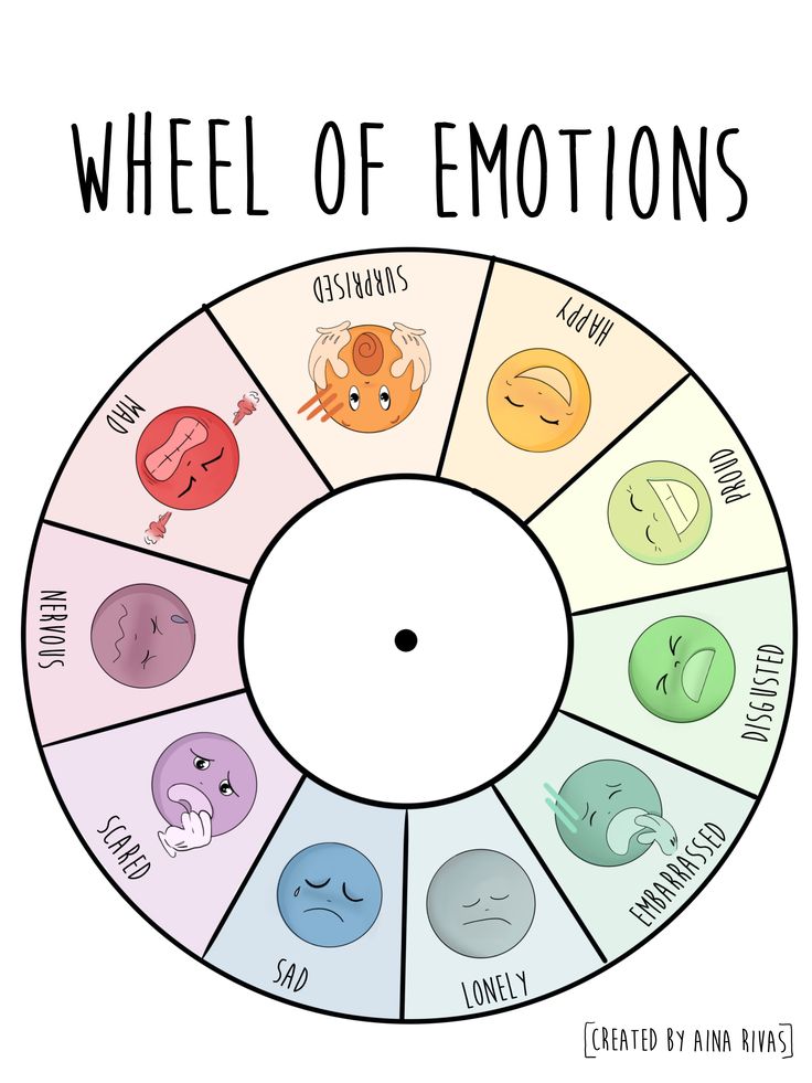 the wheel of emotions is shown with different types of emotion in each circle, including