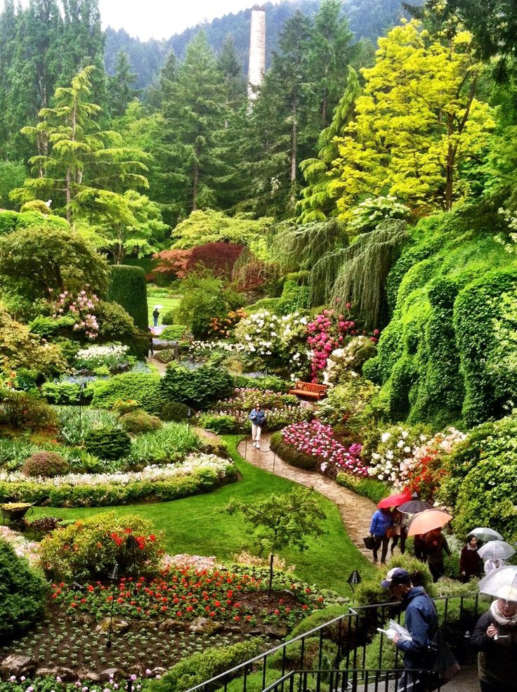 people with umbrellas are walking through a garden in the middle of trees and bushes