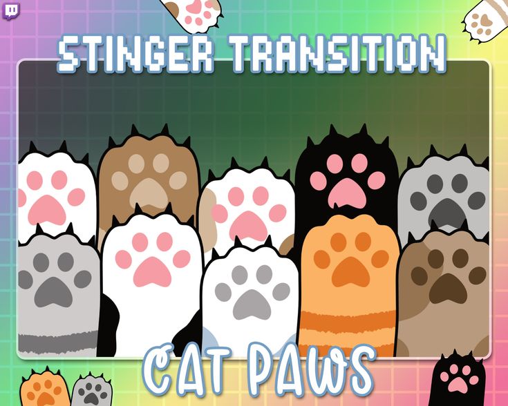 the cat paws are all different colors and sizes, but they can be seen in this game