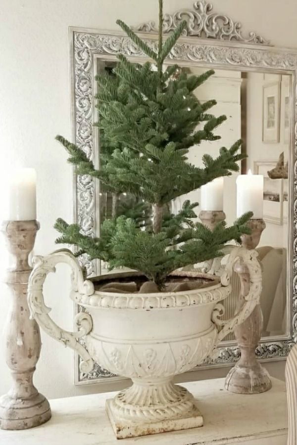 a potted christmas tree sitting on top of a white table next to a mirror