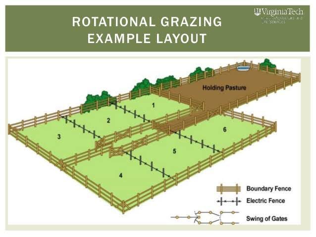 an image of a farm layout