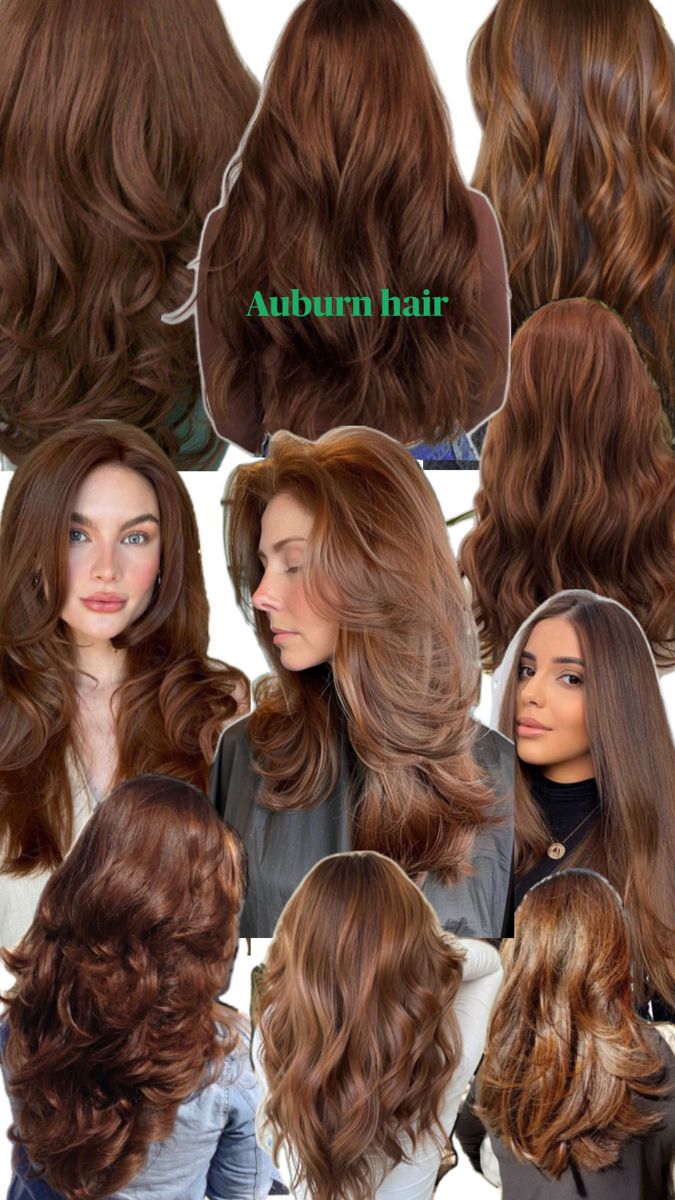 deep reddish brown hair colour, hints of orange Hair Dye Ideas Auburn, Cute Hair Colors For Winter, Copper Undertone Brown Hair, Dark Orange Brown Hair Color, Chocolate Mohagany Hair, Reddish Brown Hair Natural, Natural Brown Red Hair Color, Natural Hair Colours Ideas Dyes, Hair Inspo Color Brunettes Curly