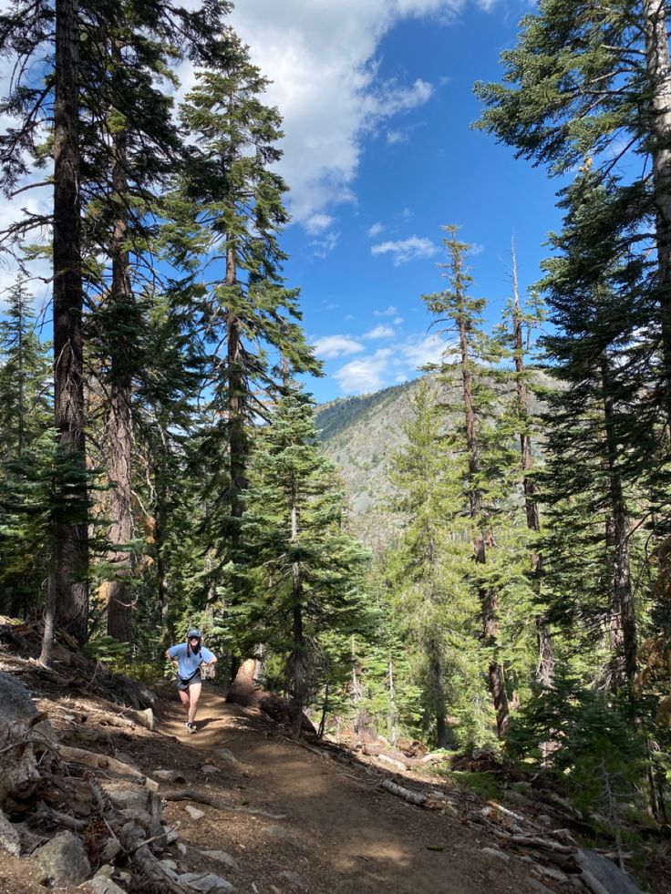 a person walking up a trail in the woods with trees on both sides and mountains in the background