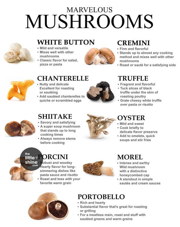 a poster with mushrooms and their names