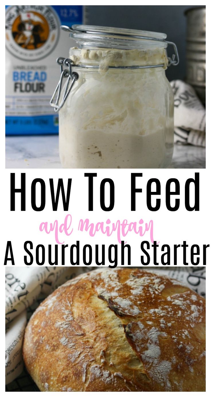 how to feed and maintain sourdough starter in a mason jar with text overlay