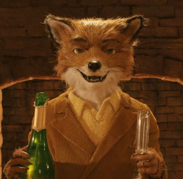 The Fantastic Mr Fox Art, Fantastic Mr Fox Pfp, Asteroid City, Fox Character, Fantastic Fox, The Grand Budapest Hotel, Mister Fantastic, Wes Anderson Movies, Wes Anderson Films