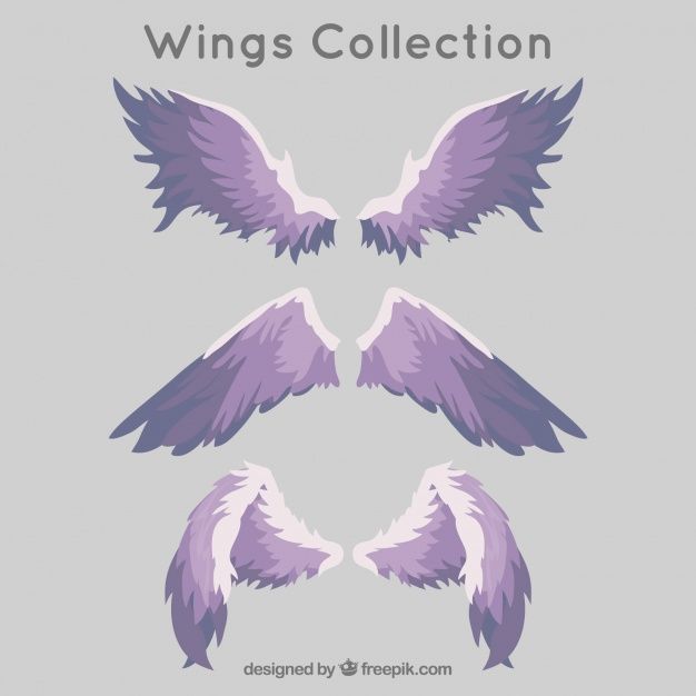 three purple and white wings with the words wings collection written below them on a gray background