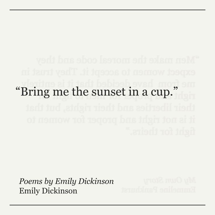 a book cover with the words bring me the sunset in a cup written on it