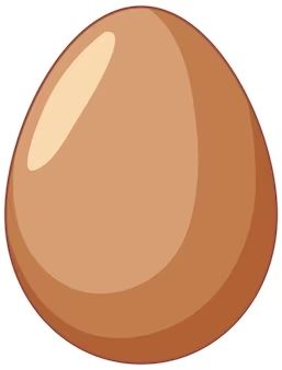 an egg is shown on a white background with no image to describe, it's brown