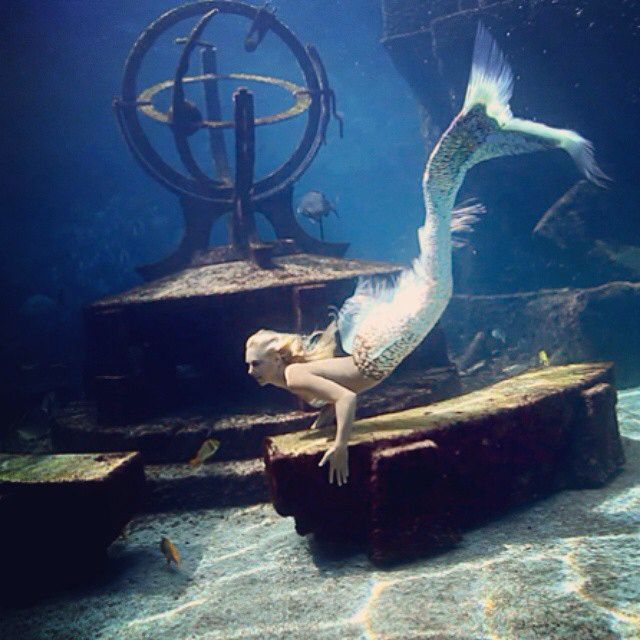 a mermaid swimming in an aquarium next to some rocks and other sea creatures on the water