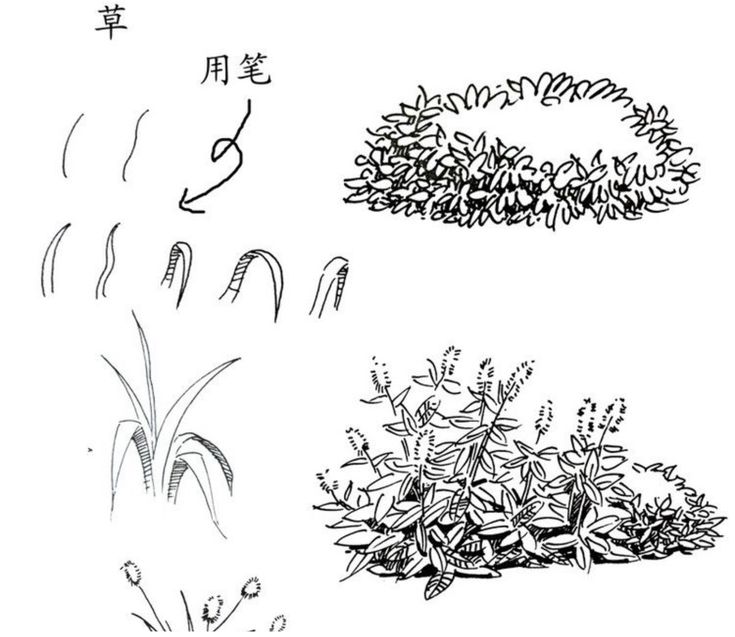 four different types of plants with chinese writing on the top and bottom, in black and white