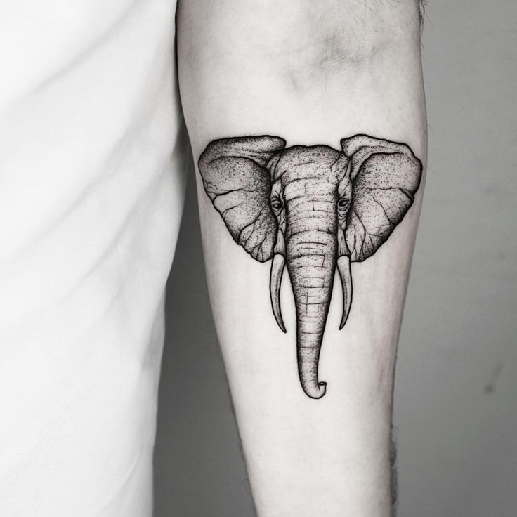 an elephant tattoo on the left forearm