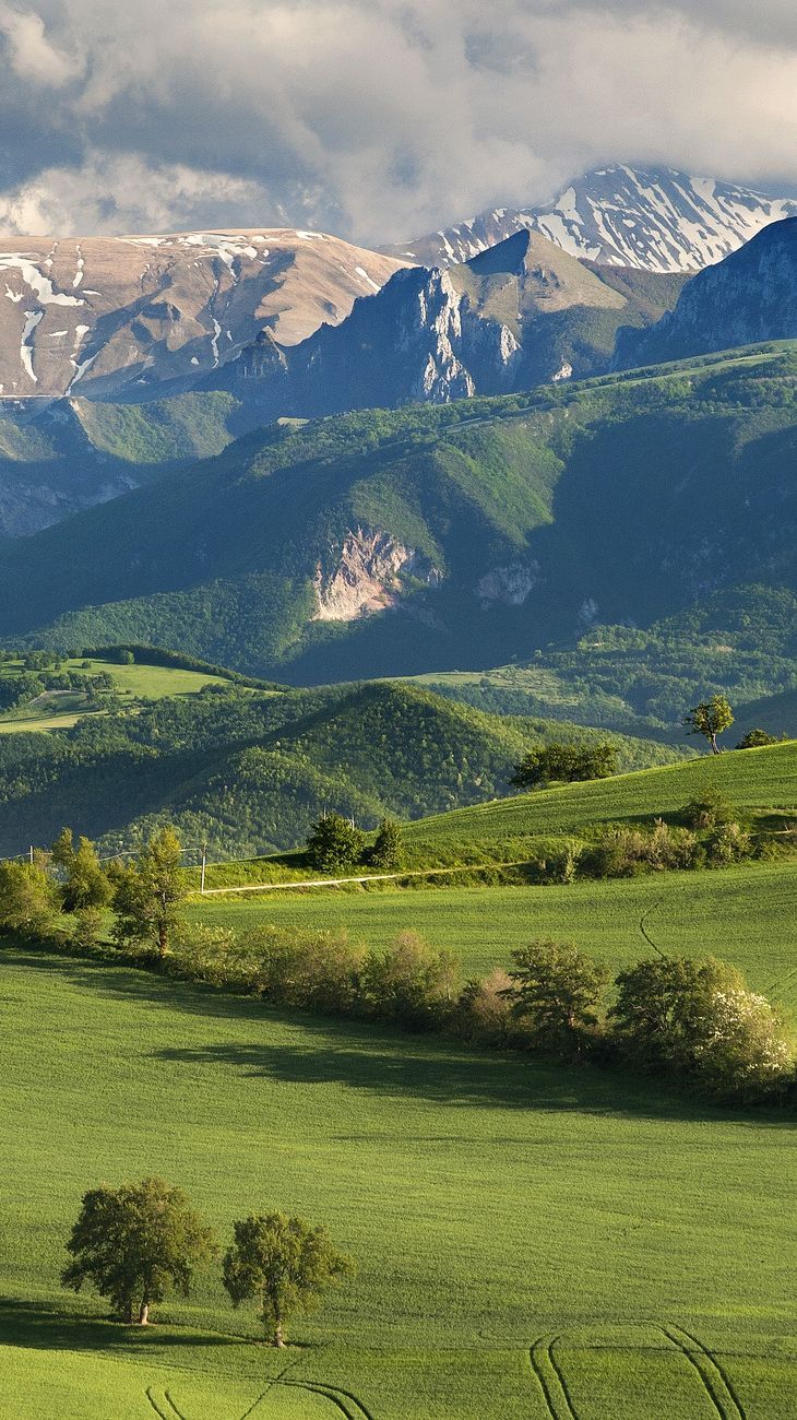 a green field with mountains in the background